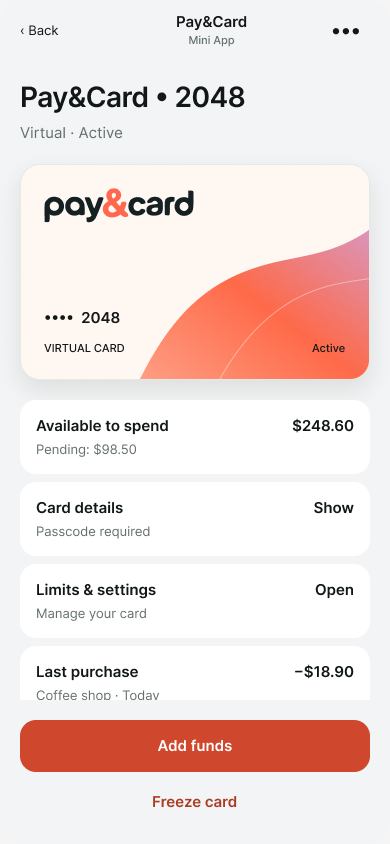 Pay and Card virtual card screen with sample balance, details and controls